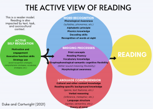 Active View Of Reading