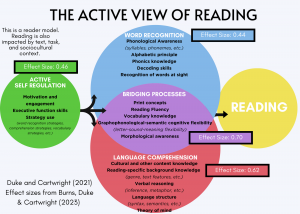 Active View Of Reading With Effect Sizes