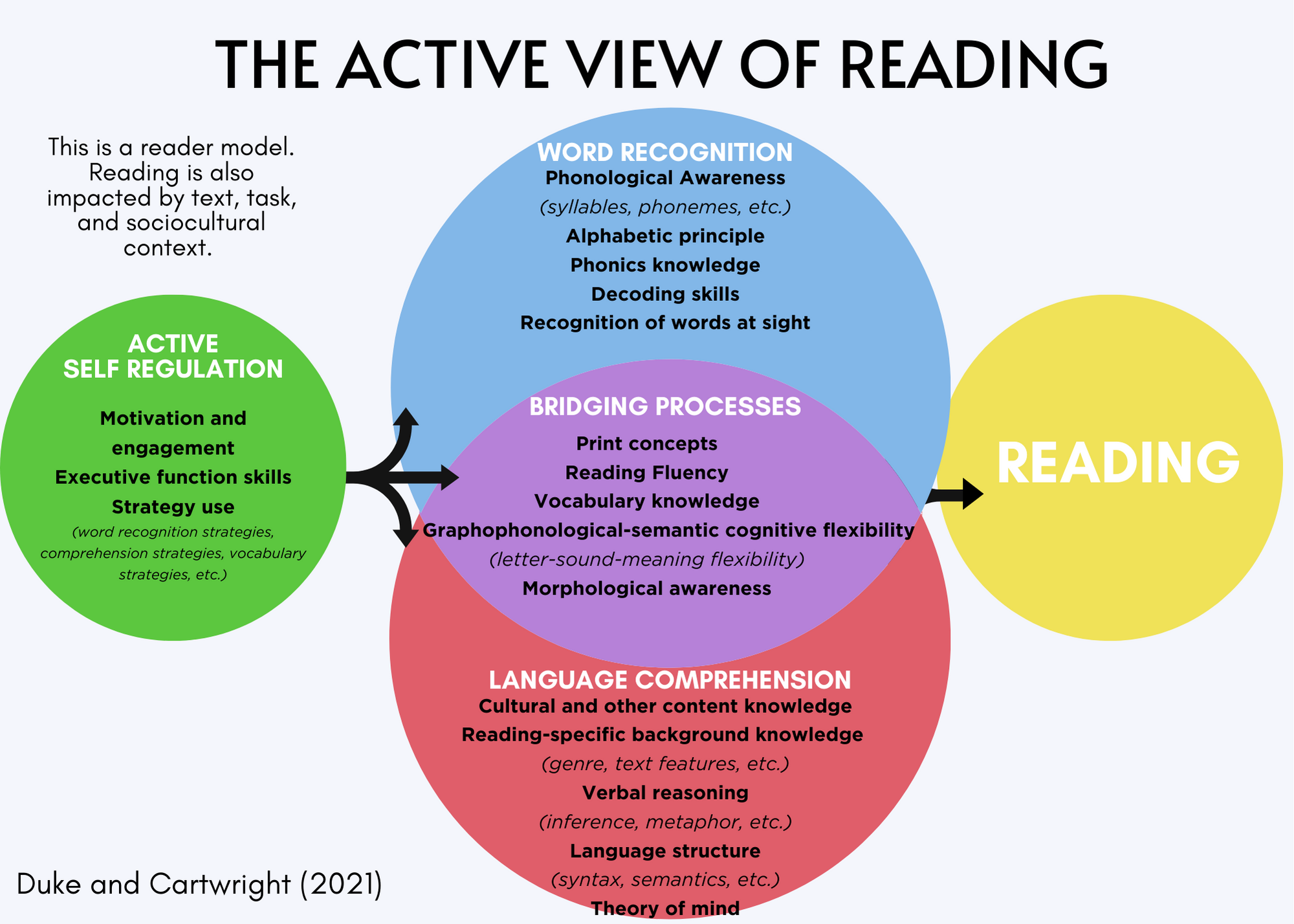 Active View Of Reading