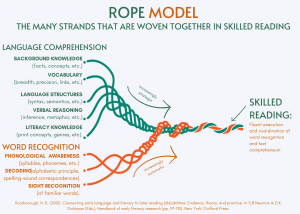 Rope Model W